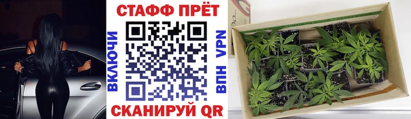Гашиш Котовск