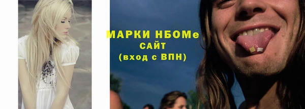 индика Костерёво