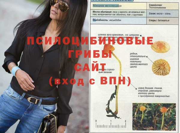 кристаллы Коряжма