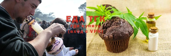 твердый Козельск