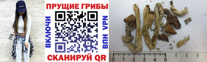 Псилоцибиновые грибы MAGIC MUSHROOMS  наркотики  ОМГ ОМГ   Котовск 
