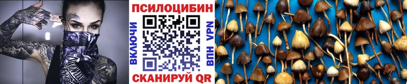 Псилоцибиновые грибы прущие грибы Котовск